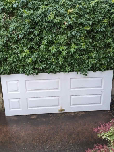 Photo of free interior door (Lower Weston) #1
