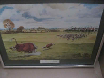 Photo of free Set of 8 Thelwell reproduction prints framed (Verwood BH31) #1