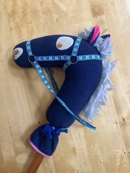 Photo of free Hobby Horse! (Barnard's Green WR14) #1