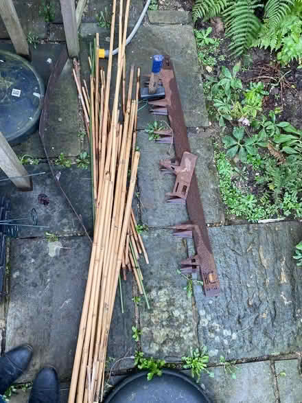 Photo of free Bamboos etc (Widcombe) #1