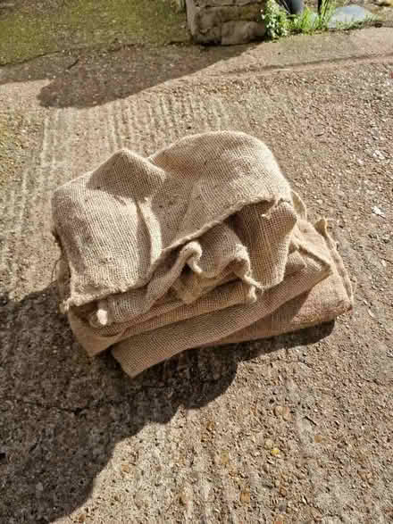 Photo of free Potato sacks (Oakwood Park Complex ME16) #1