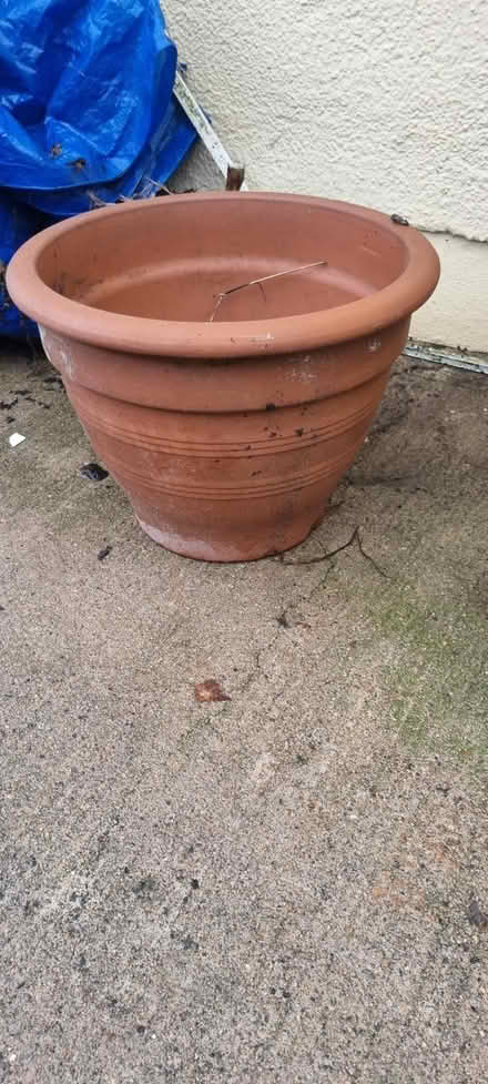 Photo of free Large terracotta pot (Marldon TQ3) #1