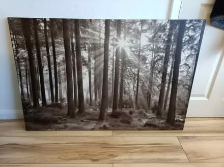 Photo of free Canvas woodland picture, large (North Anston, S25) #1