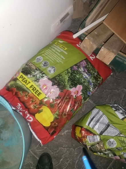 Photo of free Moss for plants (Macduff AB44) #1