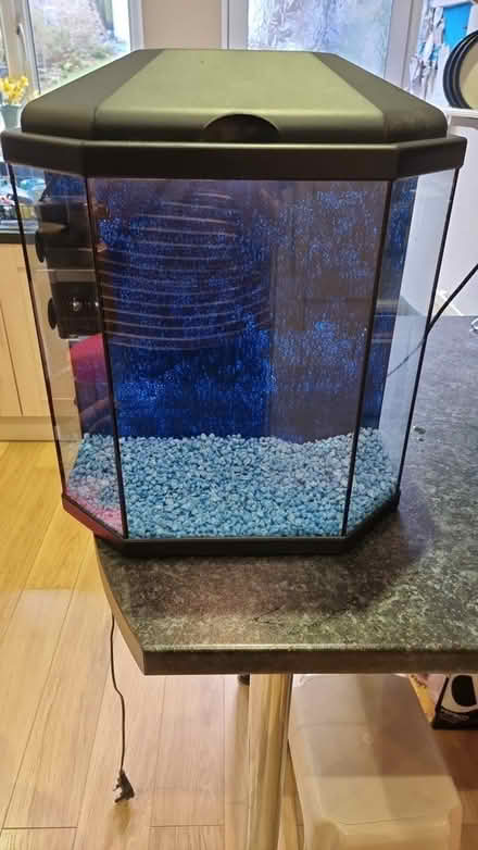 Photo of free Fish aquarium (Whyteleafe, CR3) #1