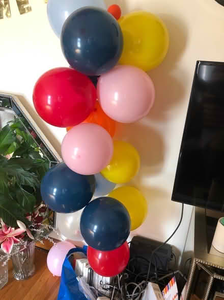 Photo of free Party Supplies (East Brockton) #1