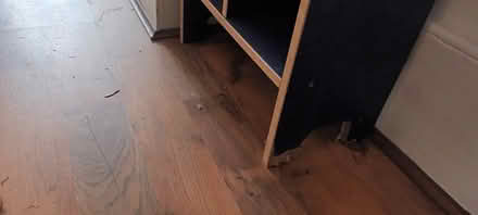 Photo of free Blue CD shelves (Streatham SW16) #2