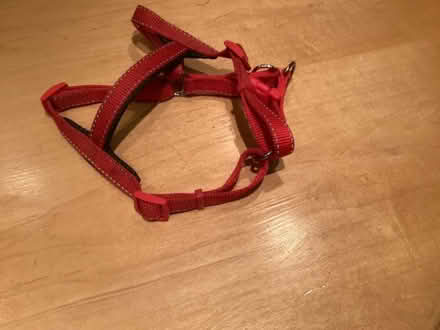 Photo of free Harness for small dog (Malvern Link WR14) #1