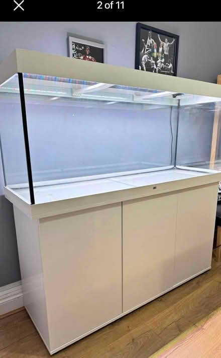 Photo of Is any 1 rehome a tank (Wokingham RG40) #1