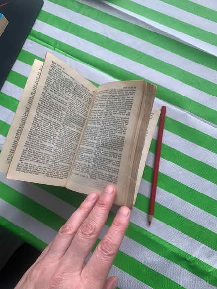 Photo of free Chubby little old Bible (Paul Anka drive) #4