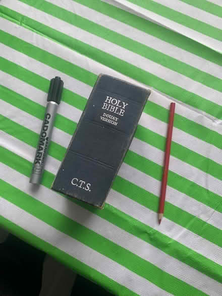 Photo of free Chubby little old Bible (Paul Anka drive) #2