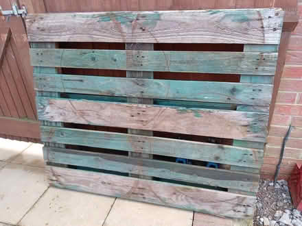 Photo of free pallet (Derby DE24) #1