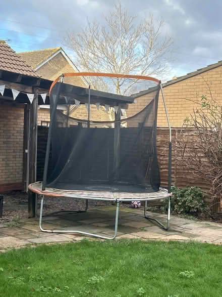 Photo of free Trampoline (Sugar way) #1