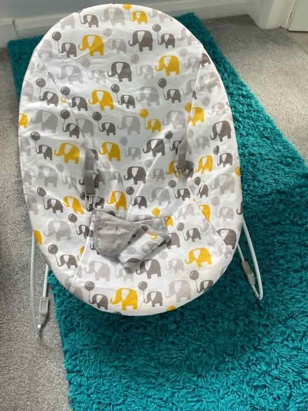 Photo of free Baby bouncer (Sandiacre) #1