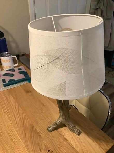 Photo of free Lamp with shade and lightbulb (Ypsilanti,byEllsworth&Mich Ave) #1
