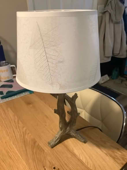 Photo of free Lamp with shade and lightbulb (Ypsilanti,byEllsworth&Mich Ave) #2