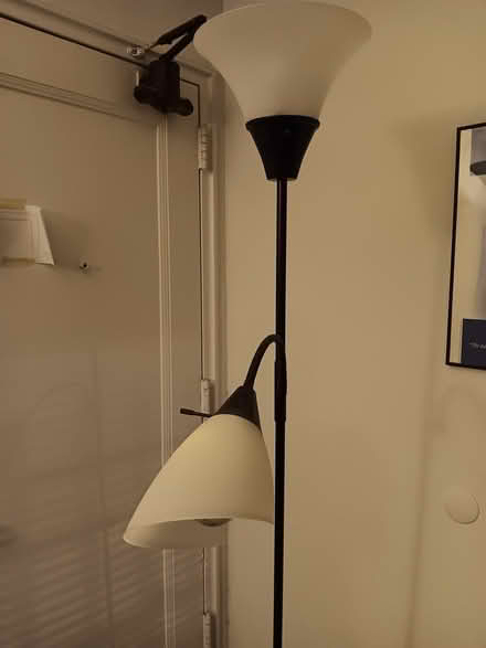 Photo of free Floor lamp (Columbia Heights) #1