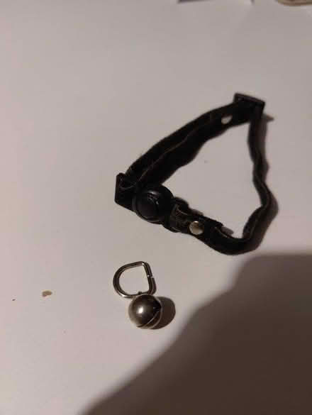 Photo of free Quick release collar and bell (CB4) #1