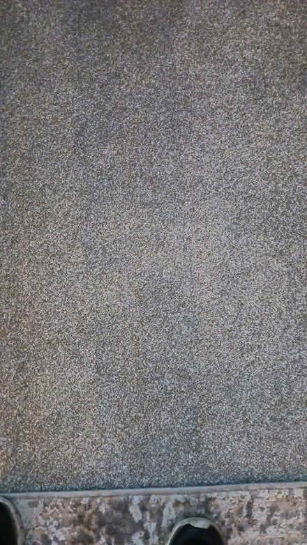 Photo of free 7ft x 7ft carpet remnant (Burntwood) #1