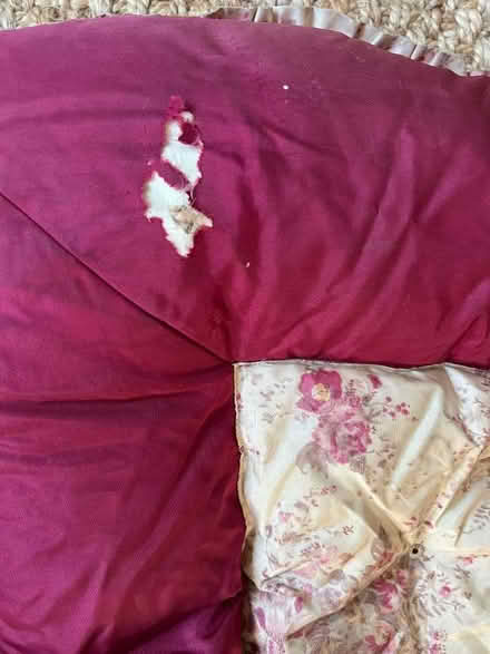 Photo of free Old eiderdown - 30s/40s? (Charmouth DT6) #4