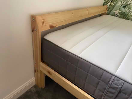 Photo of free Double bed (Falkirk FK1) #3