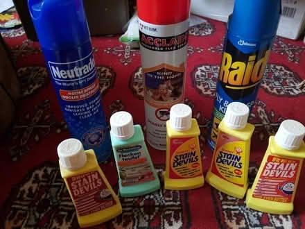 Photo of free Stain removers and fly spray 0 (Bramley LS13) #1