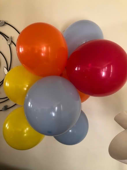 Photo of free Party Supplies (East Brockton) #2