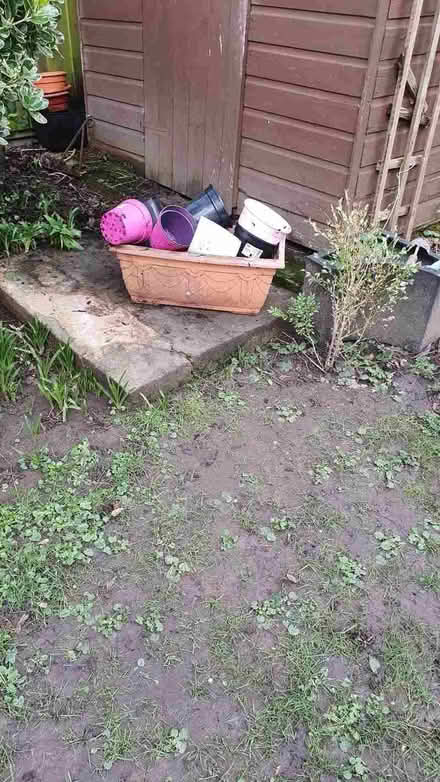 Photo of free assortment of plastic garden pots (Ravensbourne BR1) #1