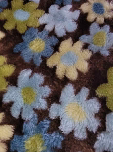 Photo of free Floral Bedspread (L6L 3R6) (Third line and Rebecca) #3