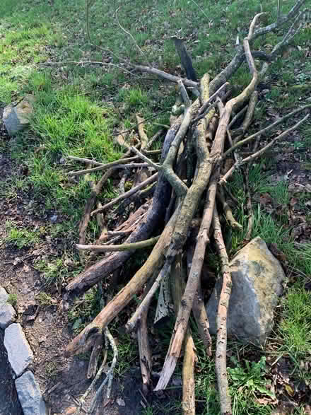 Photo of free Fire wood/kindling (Great kingshill) #1