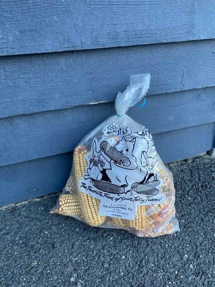 Photo of free Critter corn ear corn cobs (North Reston) #1