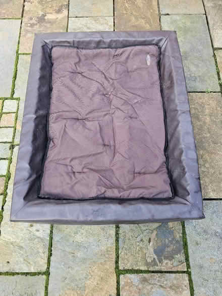 Photo of free Large Firm Dog Bed (Glasnevin) #1