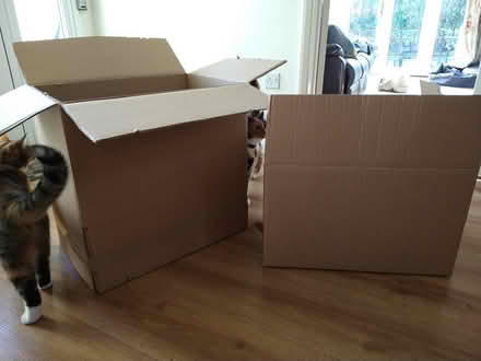 Photo of free 2 large packing/moving boxes (Chesham Bois HP6) #1