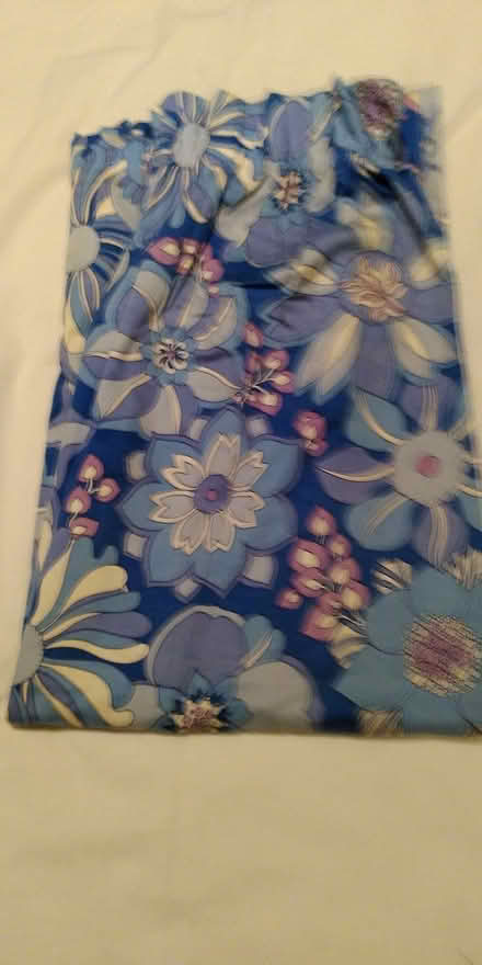 Photo of free Blue floral curtains (Epping CM16) #1