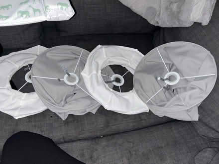 Photo of free Lamp shades (Salisbury) #2