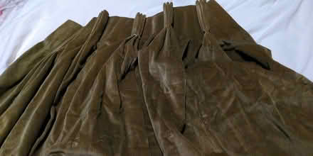 Photo of free Green curtain (Epping CM16) #1