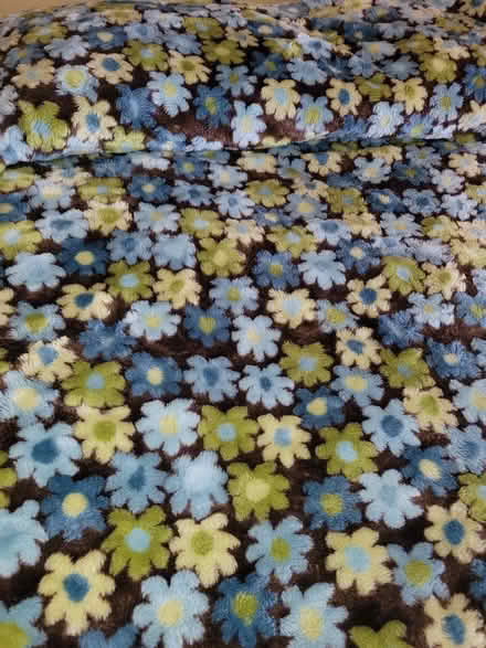 Photo of free Floral Bedspread (L6L 3R6) (Third line and Rebecca) #1