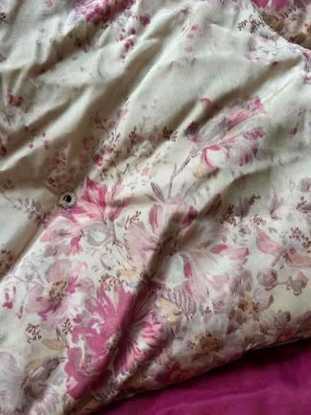 Photo of free Old eiderdown - 30s/40s? (Charmouth DT6) #3