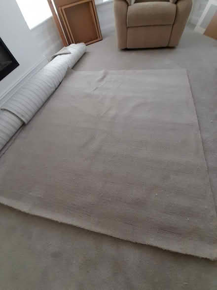 Photo of free new carpet offcut (Primrose LA1) #1