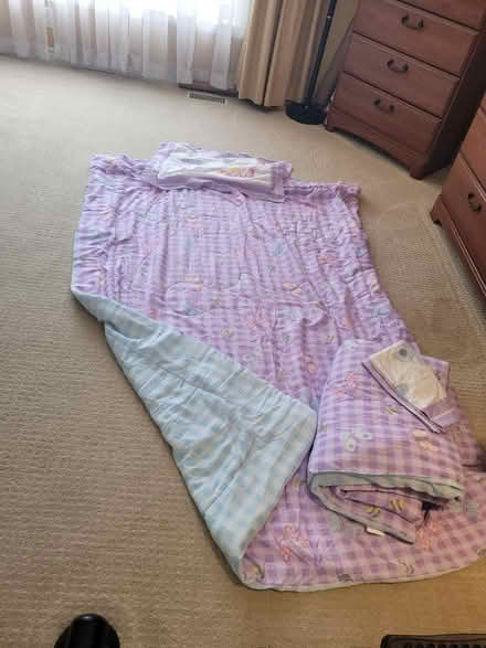 Photo of free 2 sets Twin Comforter/Sham (L6L3R6) (Third line and Rebecca) #1