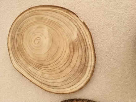 Photo of free 2x serving boards (Leziate PE32) #4