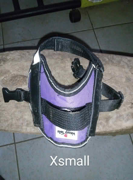 Photo of free 3 small dogs harnesses (Queenhill WR8) #1