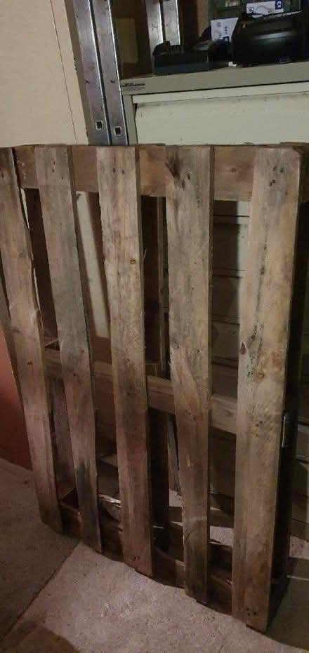 Photo of free Pallet 80cm x 120cm (Honiton EX14) #1
