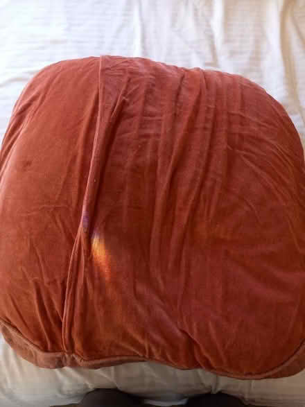 Photo of free 2 big feather filled seating cushions (Bessels Green TN13) #4
