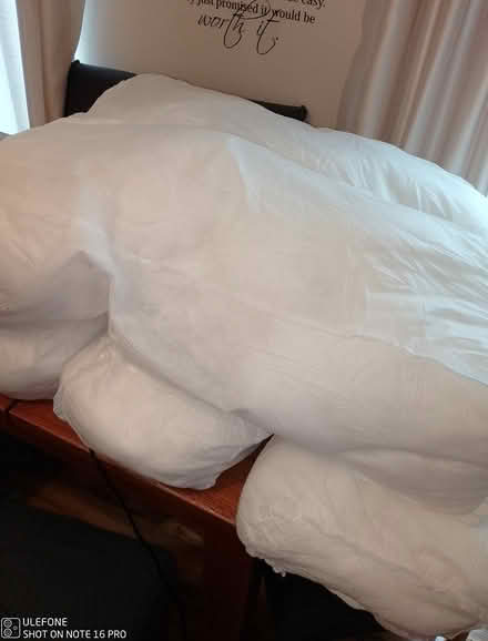 Photo of free Cushion fillers (Henbury) #2