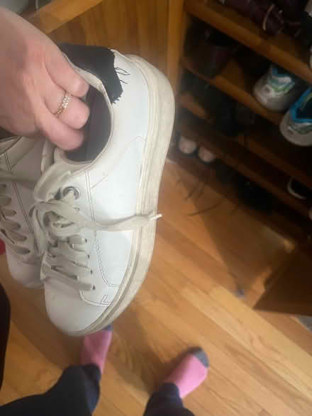 Photo of free Steve Madden Size 6 White Sneakers (Columbia Heights) #1