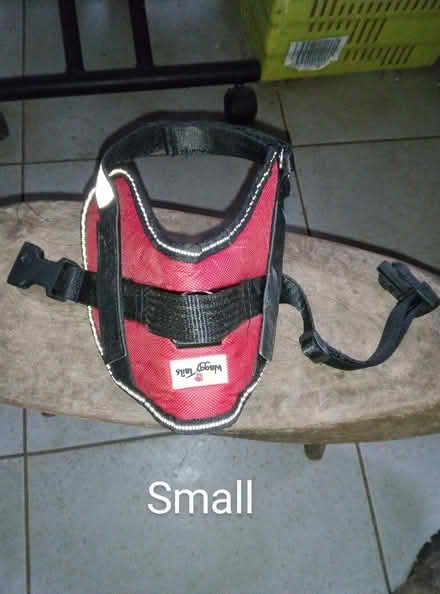 Photo of free 3 small dogs harnesses (Queenhill WR8) #2