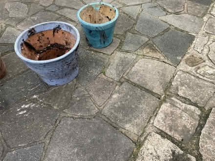 Photo of free Plant pots (PO21) #1