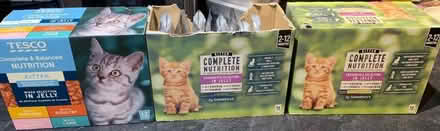 Photo of free Kitten food (Hoddesdon SG13) #1