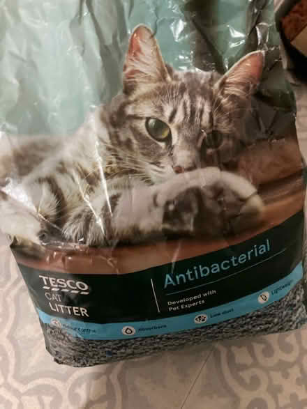 Photo of free Cat litter (Bow E3) #1